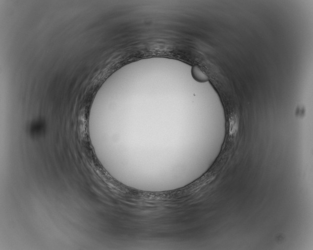 X0000112771011200908201345