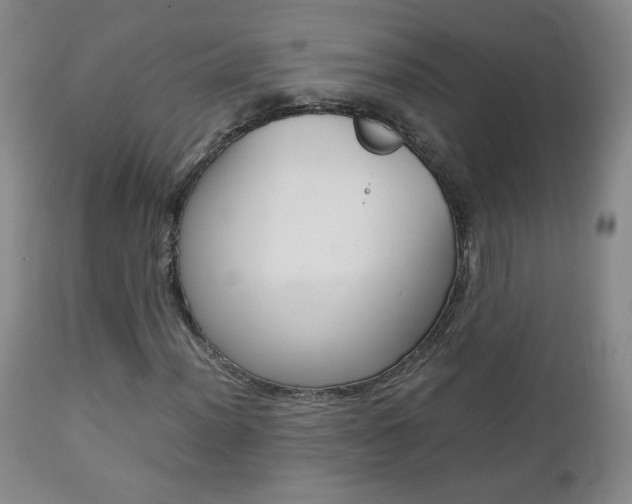 X0000112771012200908201345