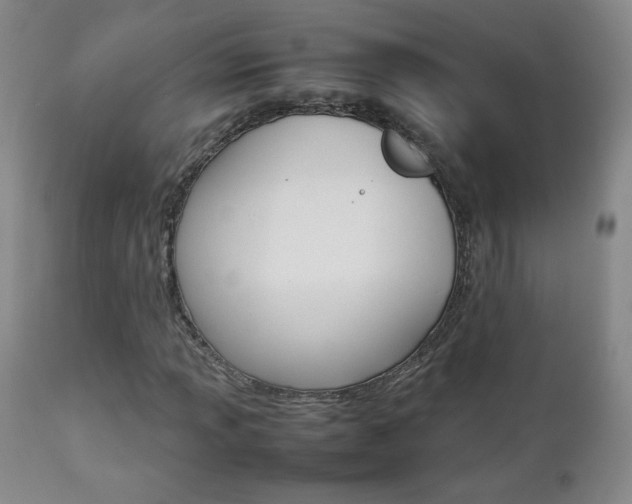 X0000112771013200908201345
