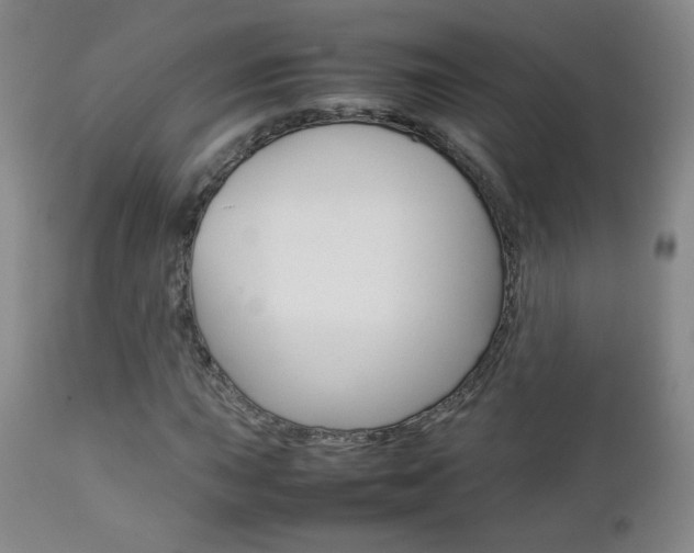 X0000112771015200908201345