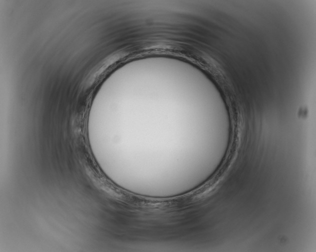 X0000112771017200908201345