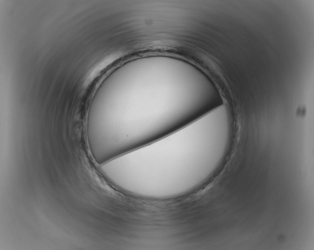 X0000112771018200908201345