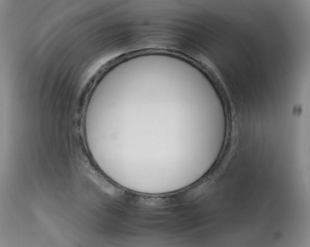 X0000112771019200908201345