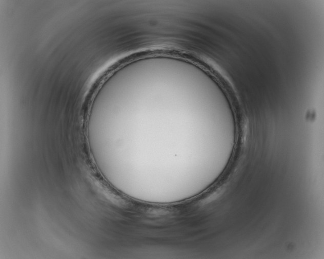 X0000112771021200908201345