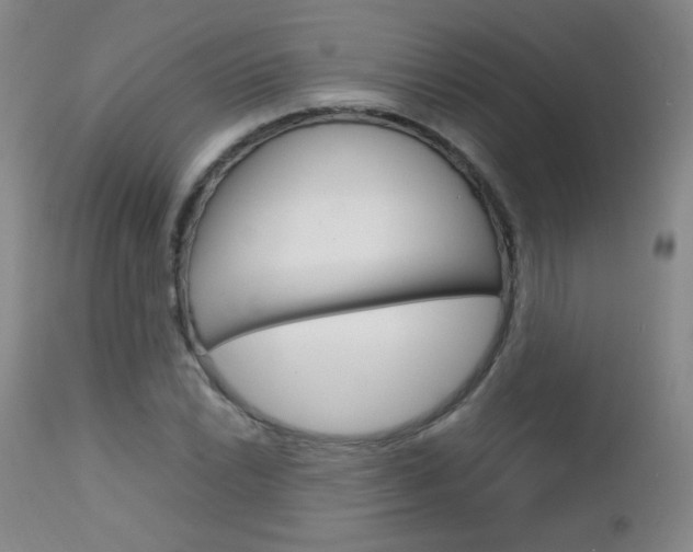 X0000112771022200908201345