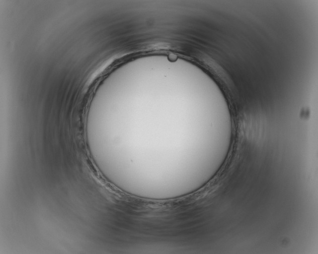X0000112771023200908201345