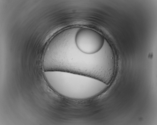 X0000112771025200908201345