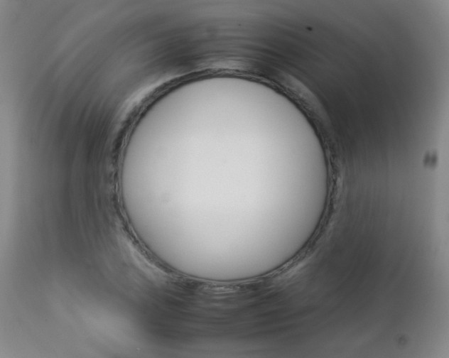 X0000112771027200908201345
