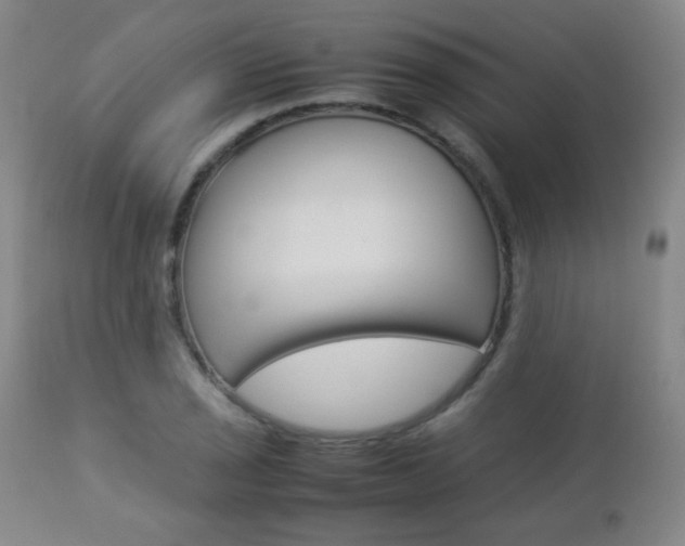 X0000112771029200908201345