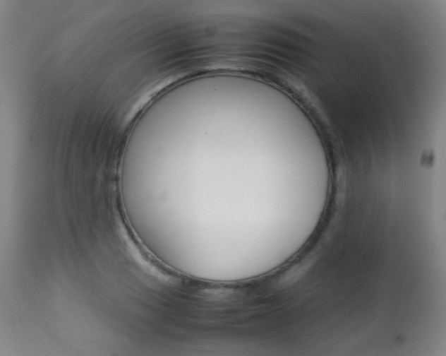 X0000112771033200908201345