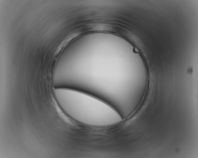 X0000112771041200908201345