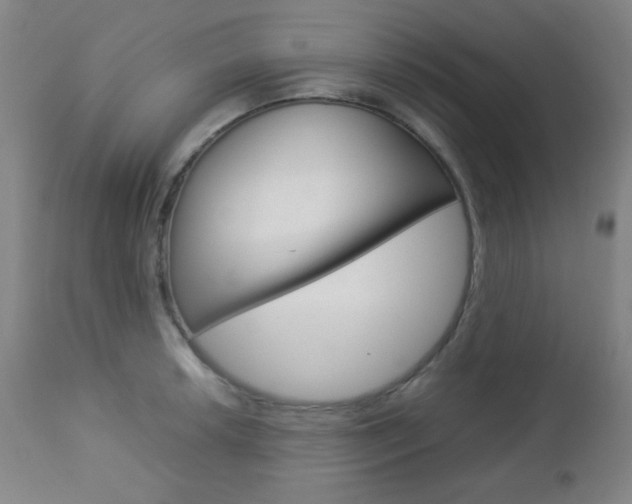 X0000112771042200908201345