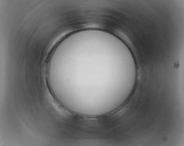 X0000112771043200908201345