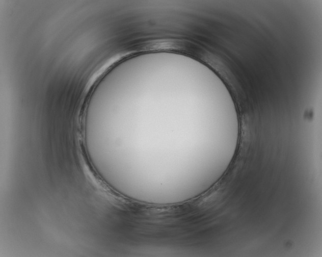 X0000112771047200908201345