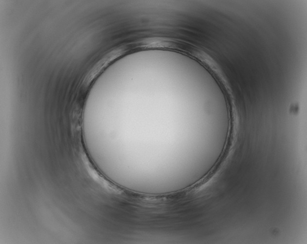 X0000112771049200908201345