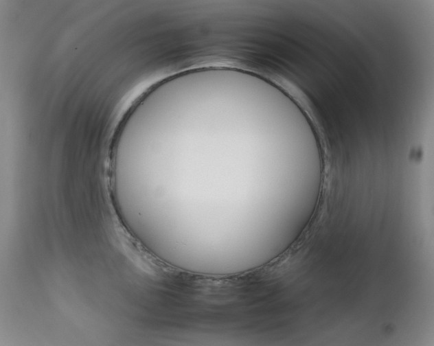 X0000112771051200908201345