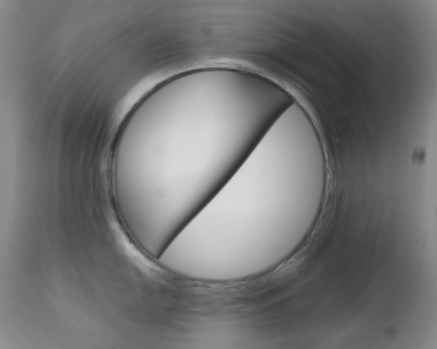 X0000112771054200908201346