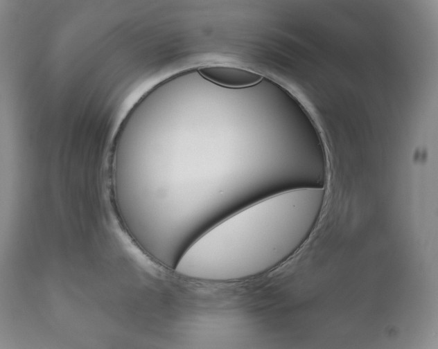 X0000112771056200908201346