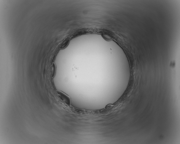 X0000112771057200908201345