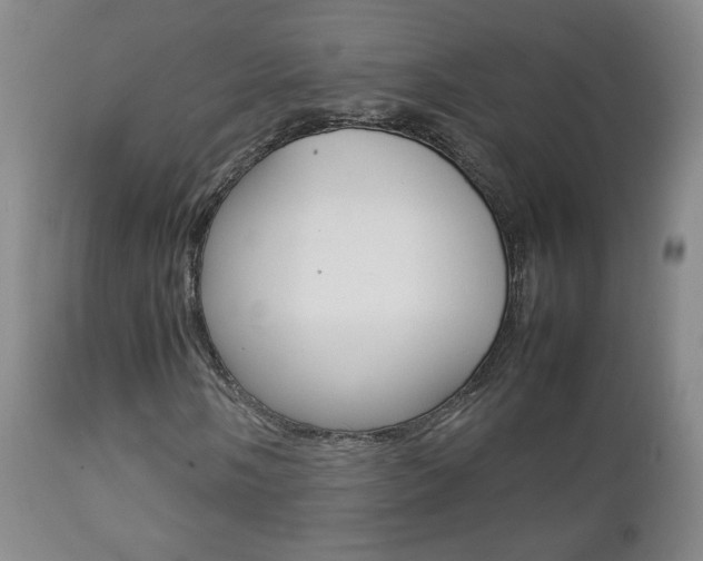 X0000112771058200908201345