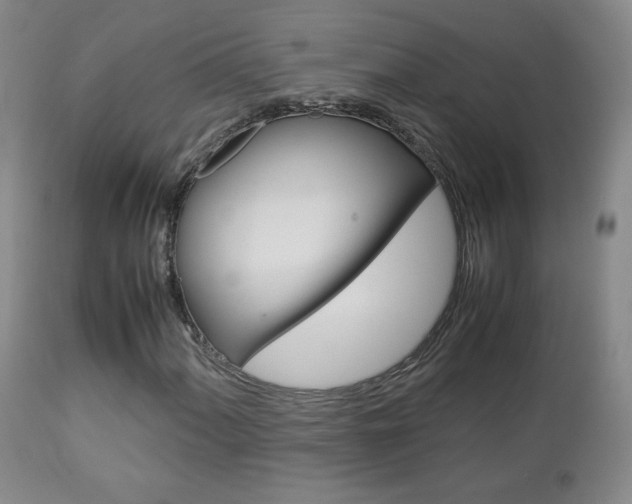 X0000112771060200908201345