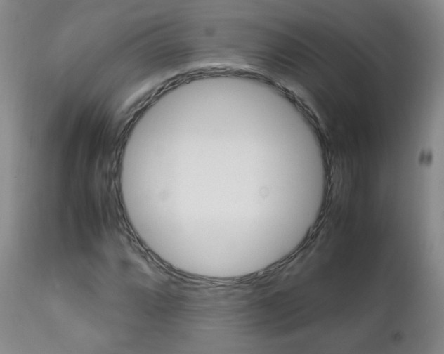 X0000112771064200908201345