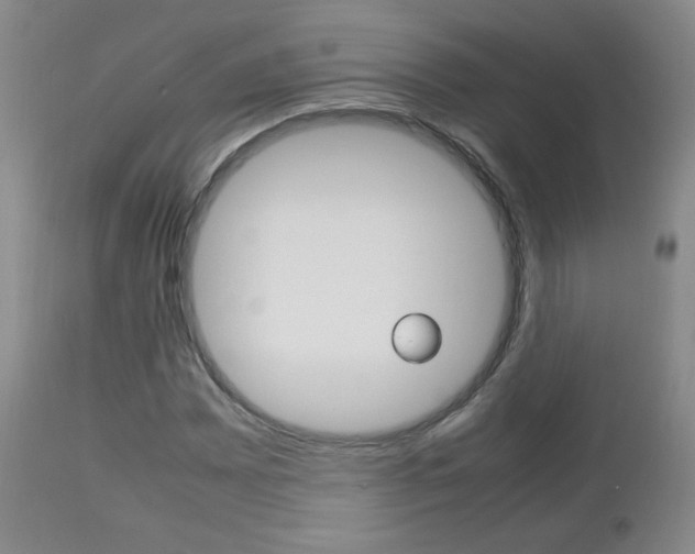 X0000112771065200908201345