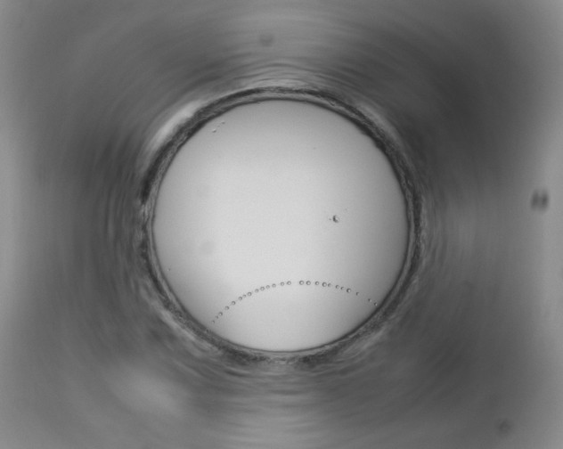 X0000112771067200908201345