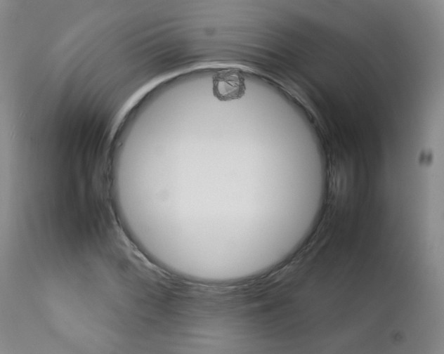 X0000112771068200908201345