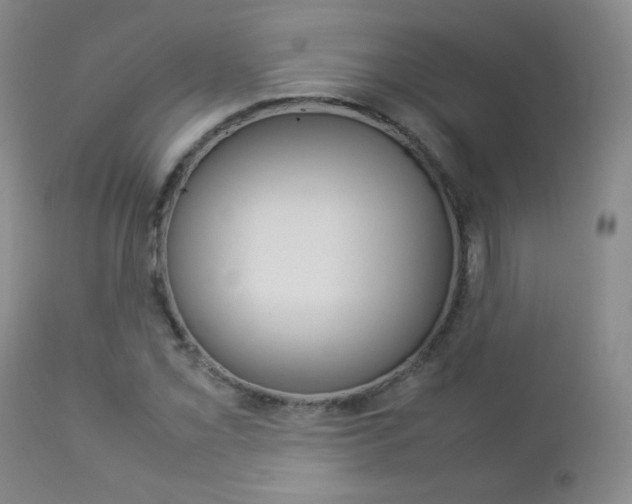 X0000112771069200908201345