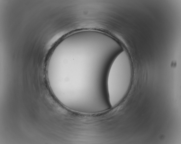 X0000112771071200908201345