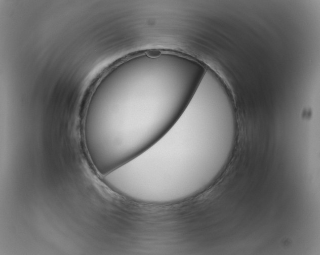 X0000112771072200908201345