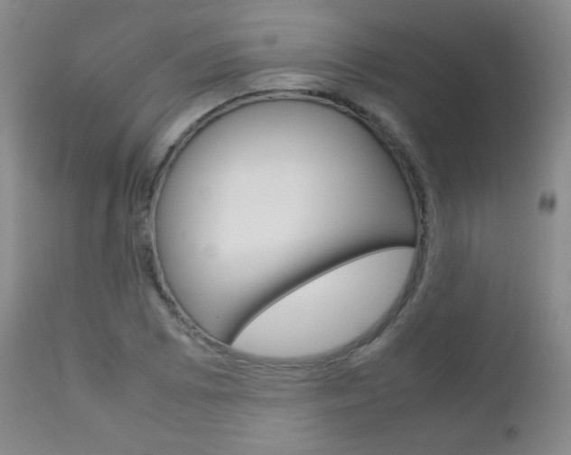 X0000112771073200908201345