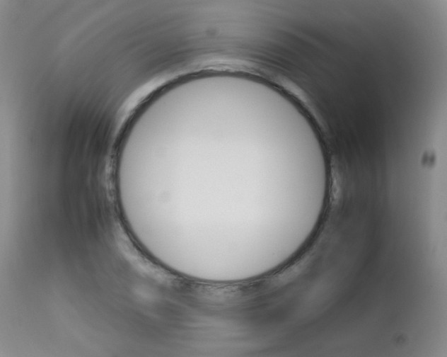 X0000112771074200908201345