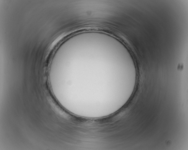 X0000112771075200908201345