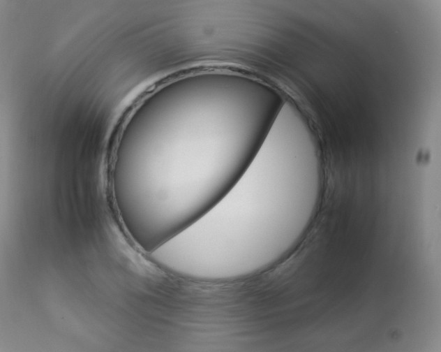X0000112771076200908201345