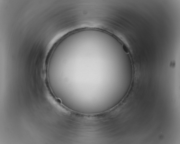X0000112771080200908201345