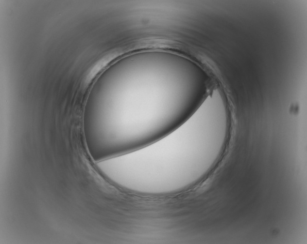 X0000112771081200908201345