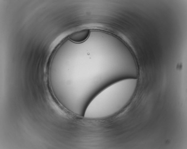 X0000112771082200908201345