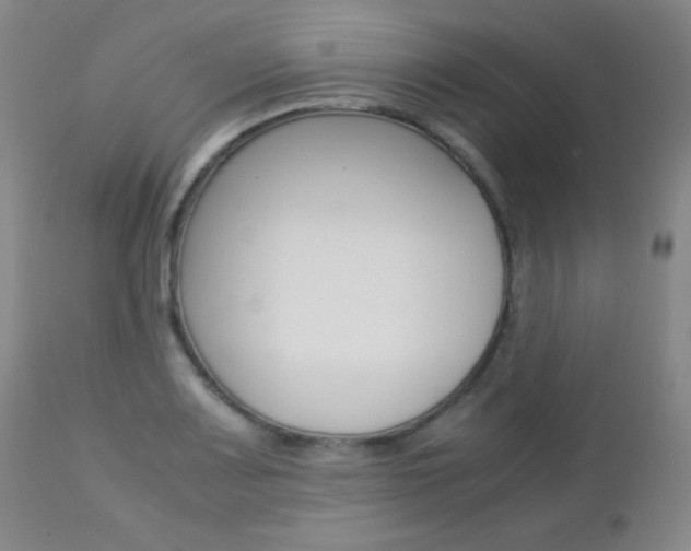 X0000112771083200908201345