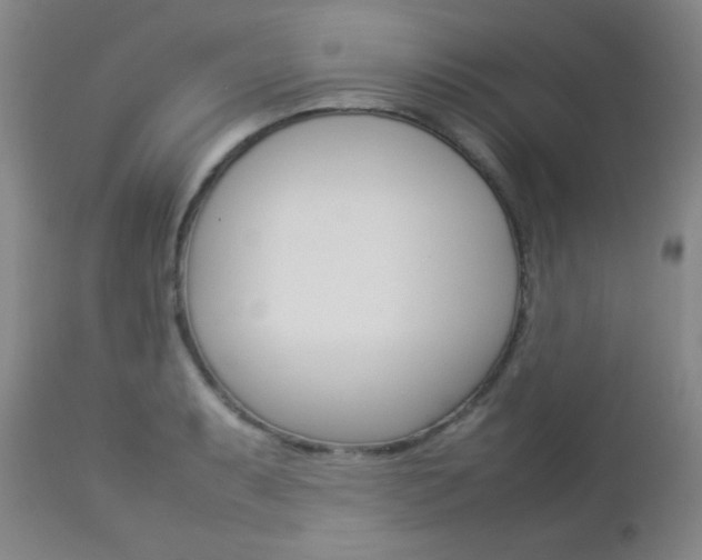 X0000112771087200908201344