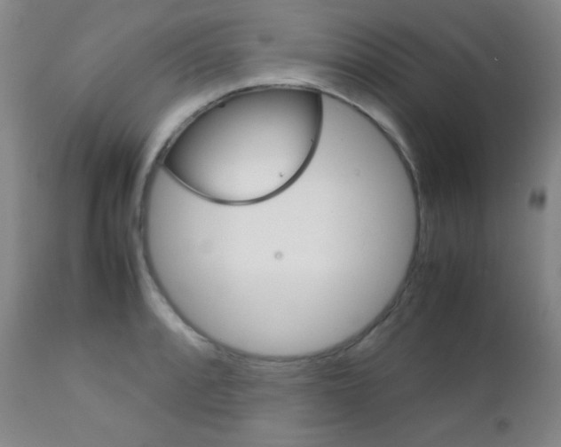 X0000112771088200908201344