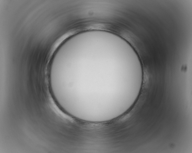 X0000112771090200908201344