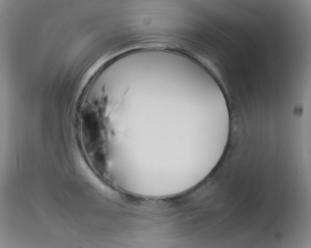 X0000112771091200908201344