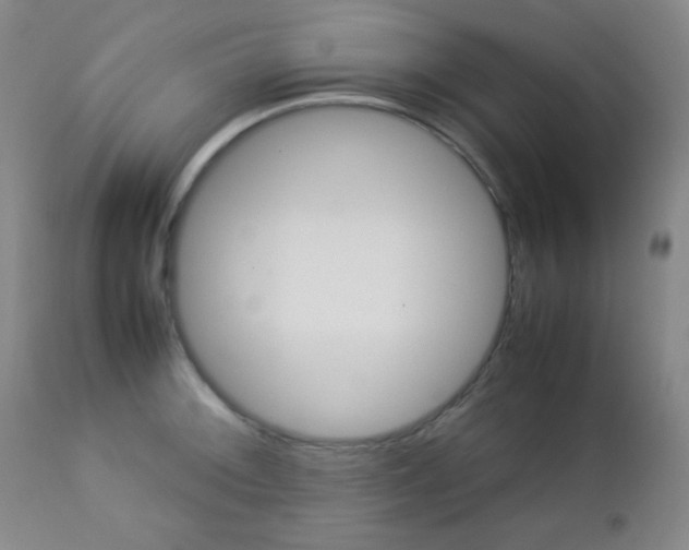 X0000112771092200908201344