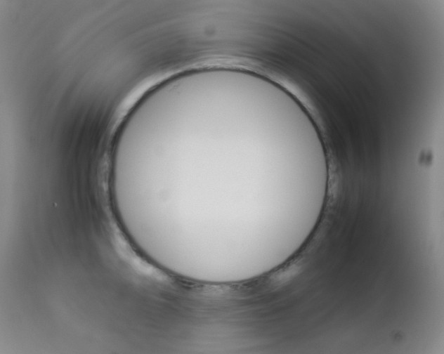 X0000112771094200908201344