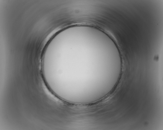 X0000112771095200908201344