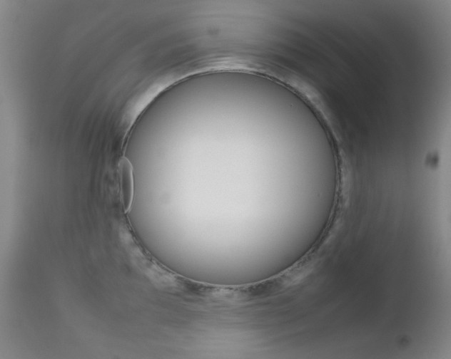 X0000112771097200908201344