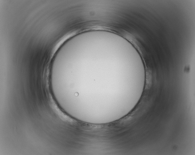 X0000112771098200908201344