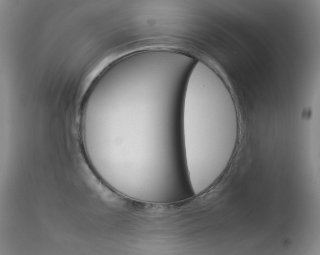 X0000112771099200908201344
